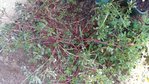 P_20170818_103822.jpg