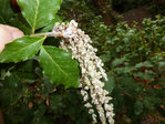 Photo5.jpg