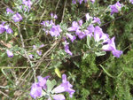 Photo6.jpg