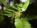 Photo3.jpg