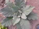 20170822_094545.jpg