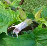 20170821_085444-1-1.jpg