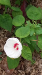 20170819_160822.jpg