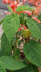 20170819_160926.jpg