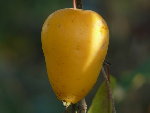 P1000451.JPG