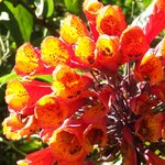imgp5952_001.jpg