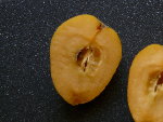 P1000459.JPG