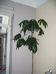 IMG_5807.jpg