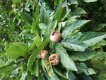 20170827_192220.jpg