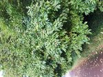 20170827_192234.jpg