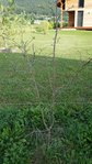 20170829_180618.jpg