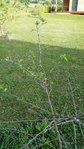 20170829_180626.jpg