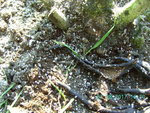 BILD0547.JPG