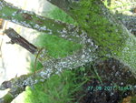 BILD0546.JPG