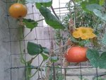 20170831_094439.jpg