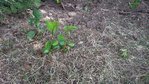 2017-09-02 12.50.58.jpg