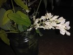 IMG_20170902_3.jpg