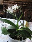 IMG_0251.JPG