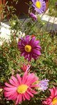 IMG_20170904_110105.jpg