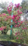 20170905_115805 (1).jpg