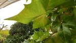 20170909_083336_HDR.jpg