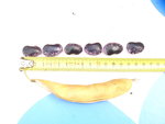 rsz_dsc05887.jpg
