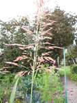 rsz_dsc05875.jpg