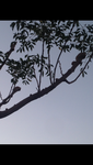 IMG_0265.PNG