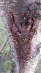 20170910_124222.jpg