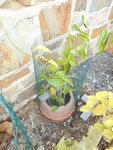 DSCN0488.jpg