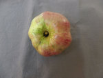 Pomme inconnue 001.jpg