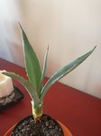 IMG_20170924_142046.jpg