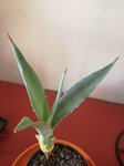 IMG_20170924_142052.jpg