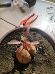 IMG_20170924_142016.jpg