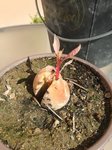 IMG_20170924_142023.jpg