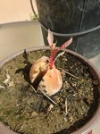 IMG_20170924_142024.jpg