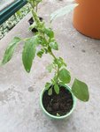 20170926_150800.jpg