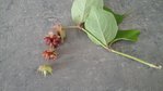 20170927_145825.jpg