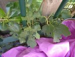 IMG_20170929_125435-800x600.jpg