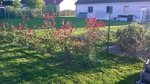 WP_20170924_18_11_15_Pro.jpg
