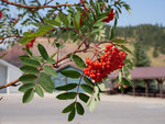 20170825_055.jpg