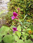 IMG_20171005_103316.jpg