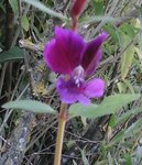 20171006_150905-1.jpg