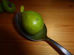 P1000415.JPG