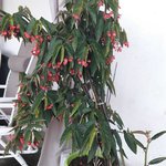 20171013_140644.jpg