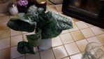 20171008_203232 [640x480].jpg