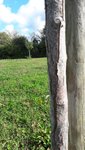 20170910_104839_resized_1.jpg