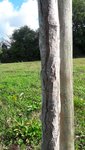 20170910_104849_resized_1.jpg