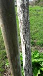 20170910_105026_resized_1.jpg