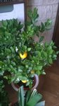 WP_20171021_002.jpg